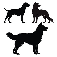 Silhouette set of a dog vectors