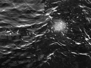 Luminous Ripples. Abstract Nature in Sunlit Lake. Eye of the sun, in the water. Black and white,...