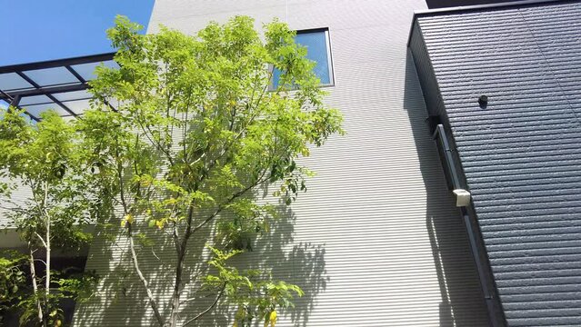 新しい家の外観と植栽（動画）