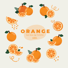 A minimal flat style doodle hand drawn vector illustration icon set of cute orange design. Whole, half, slice. For poster, sticker, banner, artwork, social media