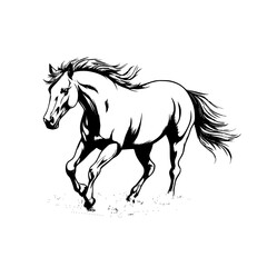 horse illustration