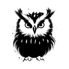 black and white owl