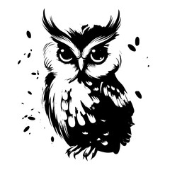 owl on a white background
