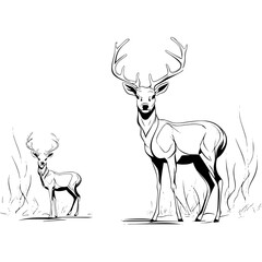 set of stag