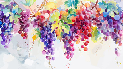 Weintrauben Frucht Obst Wasserfarben Trauben Vektor