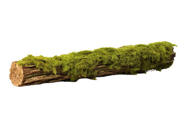 Verdant Veil: A Log Embraced by Moss. On a White or Clear Surface PNG Transparent Background.