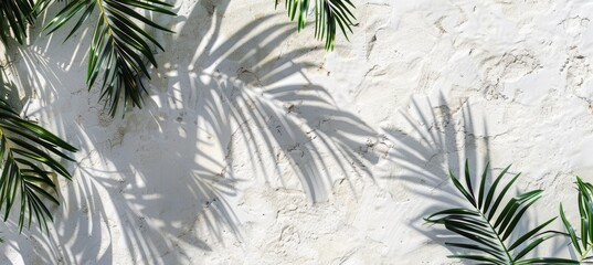 Palm leaves shadows on a white wall background, an abstract summer concept banner with space for copy. A realistic photo of palm leaves' shadows on a beige white concrete wall. A background with shad