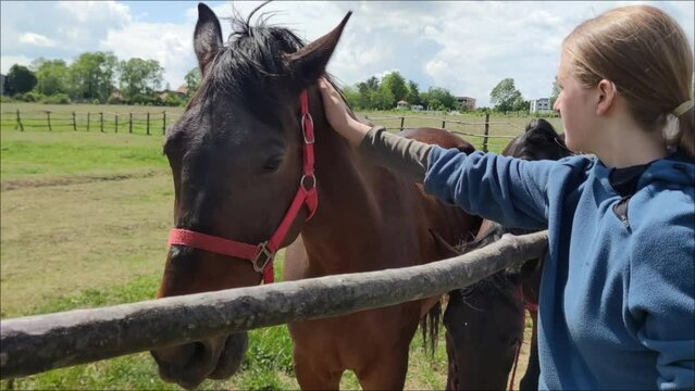 Blonde girl petting the horse and feeding with carrot.