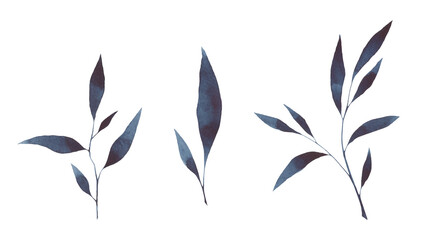 A set of dark blue watercolor twigs with leaves isolated on a white background, hand-drawn. Decorative botanical elements for design, celebration, decoration. The texture of watercolor on paper. © Svitlana