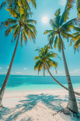 Tropical Beach with Palm Trees and Clear Turquoise Sea  