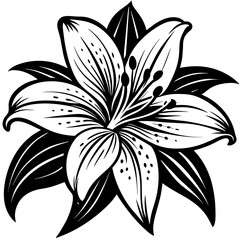 Obraz premium Lily flower silhouette vector illustration isolated on a white background 