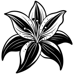 Obraz premium Lily flower silhouette vector illustration isolated on a white background 