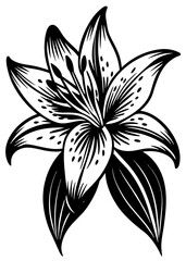 Lily flower silhouette vector illustration isolated on a white background 