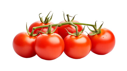 Branch of delicious fresh tomatoes, isolated on transaprent png background.

