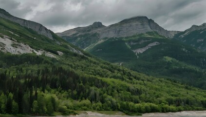 Fototapeta na wymiar high rocky mountains covered with green trees under the cloudy sky