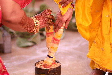 Indian Wedding Ceremony 