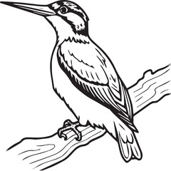 Woodpecker coloring pages. Woodpecker bird outline. Bird line art for coloring book