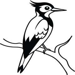 Woodpecker coloring pages. Woodpecker bird outline. Bird line art for coloring book
