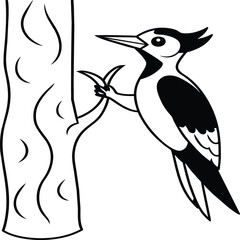Woodpecker coloring pages. Woodpecker bird outline. Bird line art for coloring book