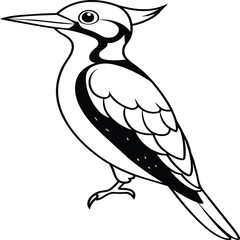 Woodpecker coloring pages. Woodpecker bird outline. Bird line art for coloring book