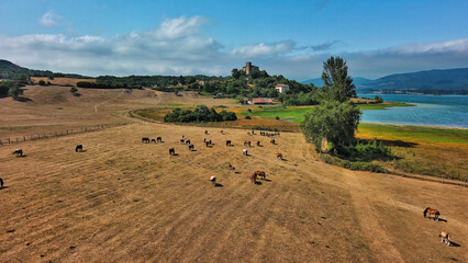 Obraz premium Aerial View of Gamboa Reservoir and Village in Basque Country