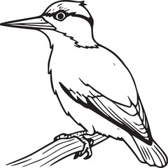 Woodpecker coloring pages. Woodpecker bird outline. Bird line art for coloring book