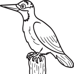 Woodpecker coloring pages. Woodpecker bird outline. Bird line art for coloring book