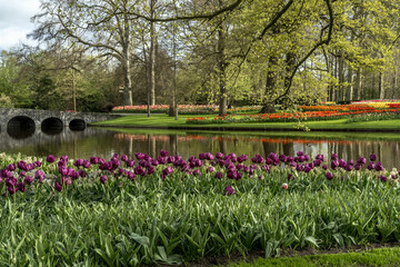 Jardin botanique aux tulipes de Keukenhof , à Lisse aux Pays-Bas	