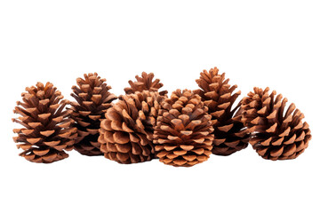 Towering Pine Cone Harmony. On a White or Clear Surface PNG Transparent Background.