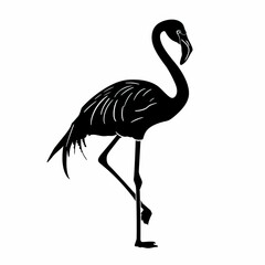 A black flamingo stands on one leg.