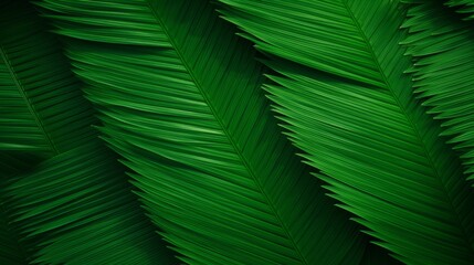 closeup nature view of green leaf and palms background. Flat lay, dark nature concept, tropical leaf