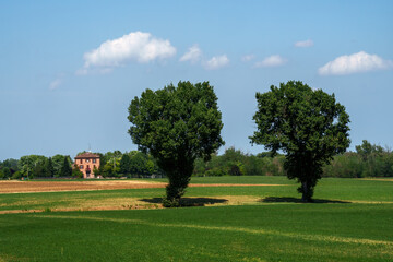 Country landscape near Medesano, Emilia Romagna, Italy