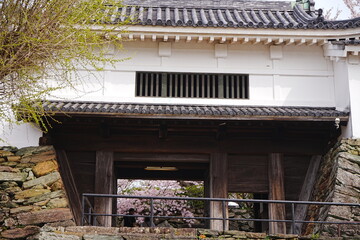 Wakayama-jo Castle with Spring Cherry Blossom in Wakayama, Japan - 日本 和歌山県...