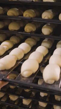 P&atilde;o sendo feito na padaria