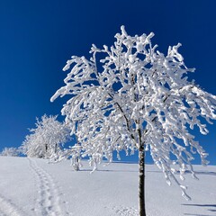 Winterlandschaft