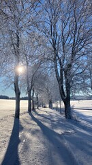 Winterlandschaft