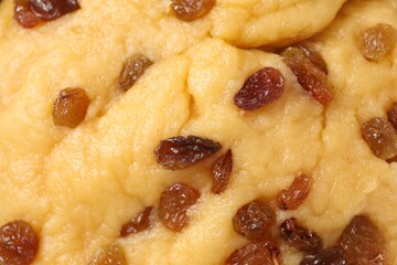 Homemade dough with raisins as background, above view