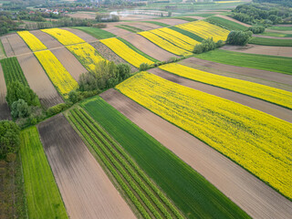Undulating agricultural landscape of Podkarpackie province with fragmented land structure and...