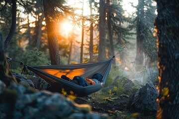 a hammock hanging in a forest with the sun shining through the trees - Powered by Adobe
