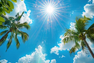 Obraz premium Landscape with palm trees, bright blue sky with sun rays, summer concept, Tropical Tree, tropical landscape.