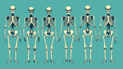 High quality detailed set of bones vector illustrat