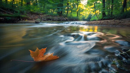 A single leaf floating down a gently flowing stream, the water's surface creating smooth, flowing...