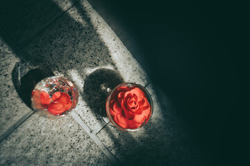 ガラスの器に浮かぶ赤い椿の花