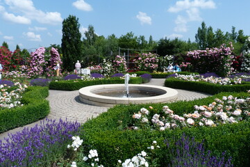 Springbrunnen in der Parkanlage Europa-Rosarium der Rosengarten in Sangerhausen