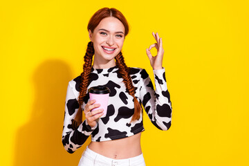 Photo of dreamy confident woman wear cow skin print top drinking cacao showing okey sign isolated...