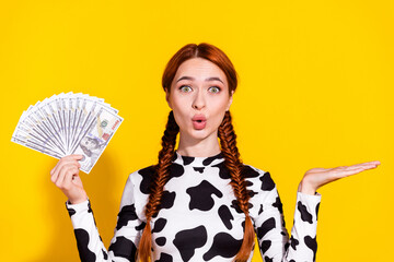 Photo of shocked funky woman wear cow skin print top rising dollars fan holding arm empty space...