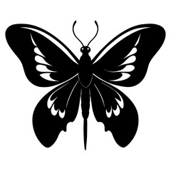 butterfly illustration moth summer insect 