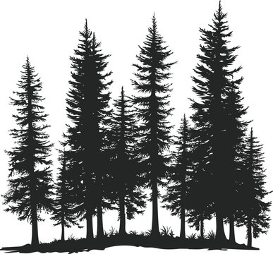 Pine trees silhouette vector