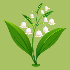 Close and clear: vector illustration of a lily of the valley
