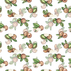 Seamless pattern with Macadamia nut. A brown ripe nut in close-up. Watercolor illustration isolated on a white background. Template for the design of wallpaper, wrapping paper, postcards, textiles - obrazy, fototapety, plakaty